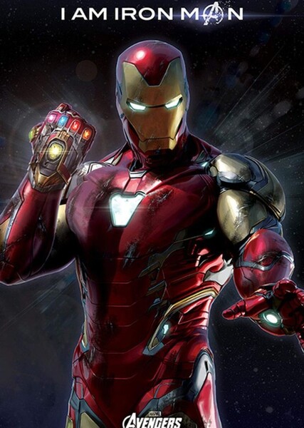 Robert Downey Jr. photo