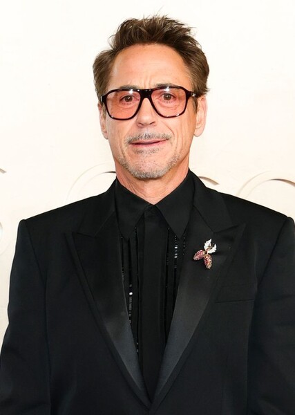 Robert Downey Jr. photo