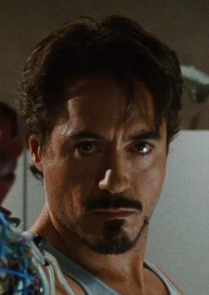 Robert Downey Jr. photo