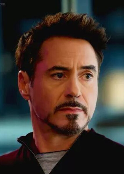 Robert Downey Jr. photo