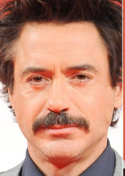Robert Downey Jr. photo