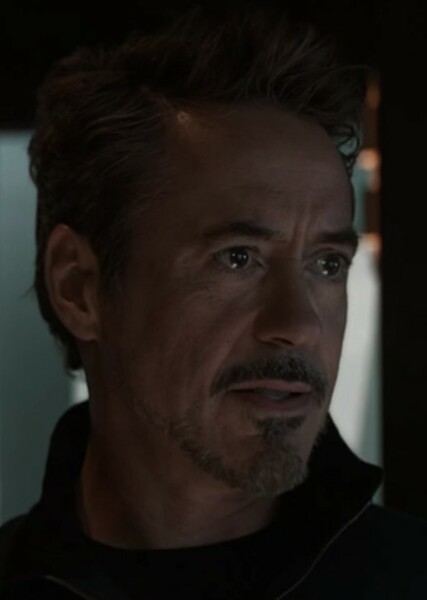 Robert Downey Jr. photo