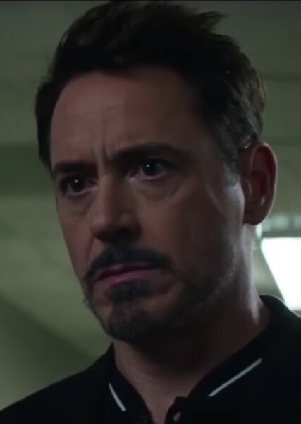 Robert Downey Jr. photo
