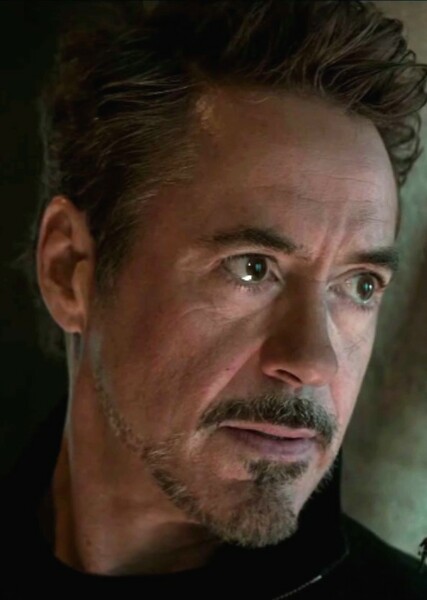 Robert Downey Jr. photo