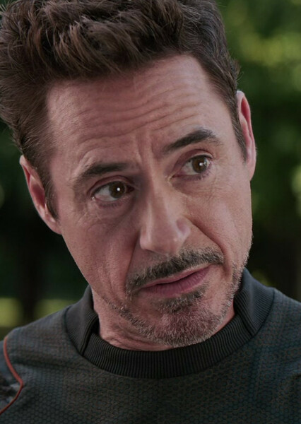 Robert Downey Jr. photo