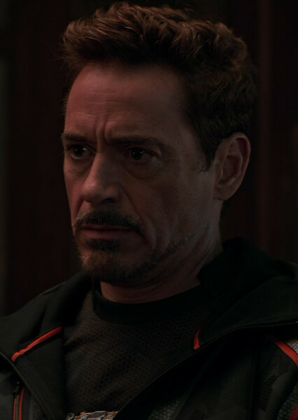 Robert Downey Jr. photo