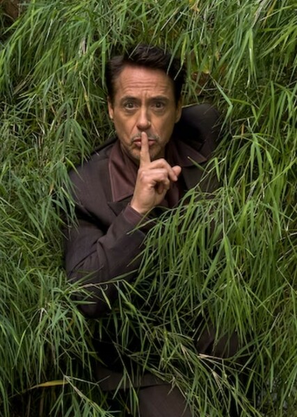 Robert Downey Jr. photo