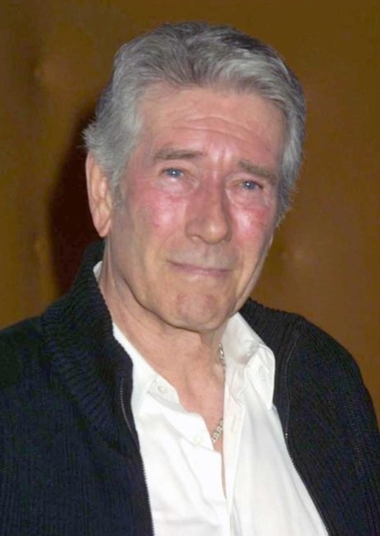Robert Fuller photo