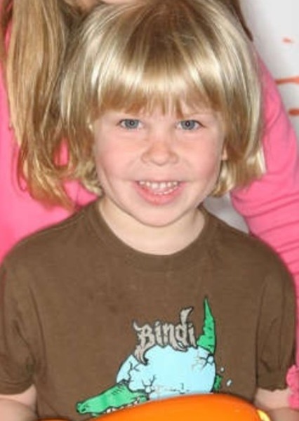 Robert Irwin photo