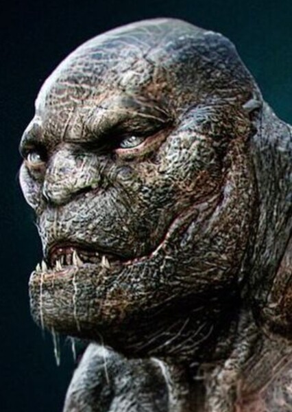 Robert Maillet
