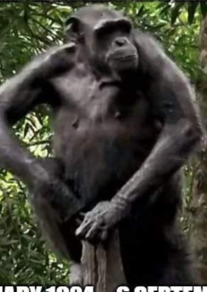 Robert Mugabe photo
