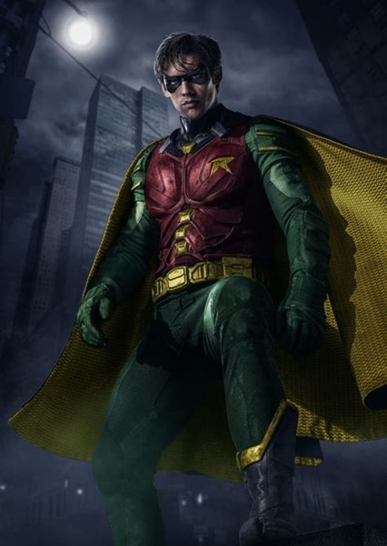 Robin photo