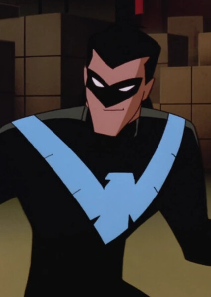 Robin/Dick Grayson (DCAU) photo