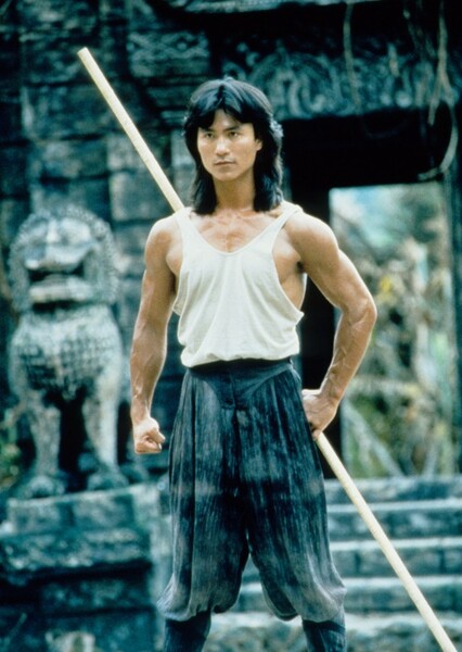 Robin Shou photo