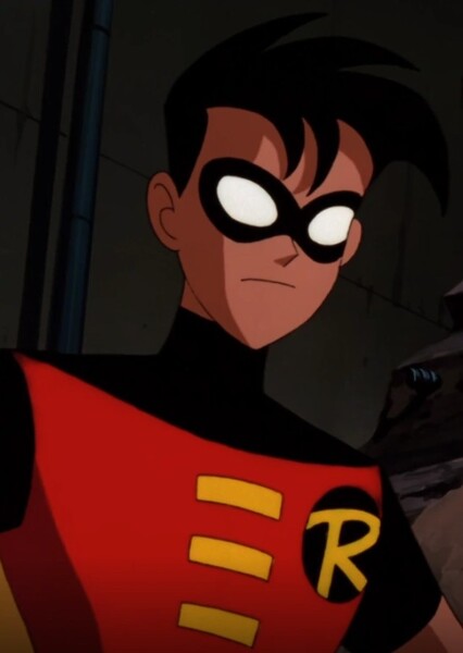 Robin/Tim Drake (DCAU)