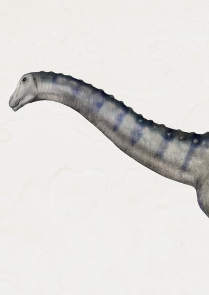 Rocasaurus