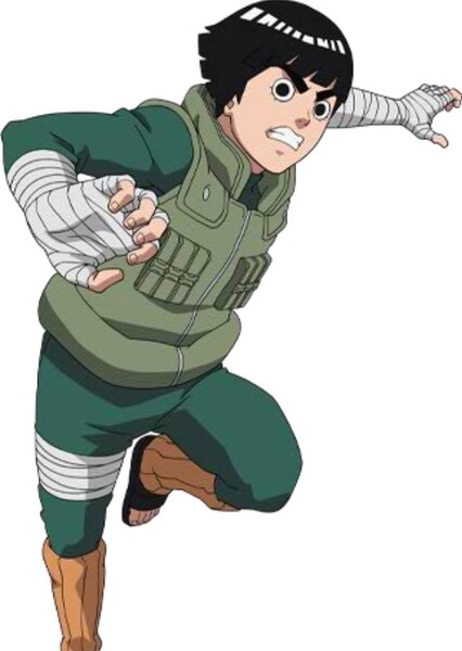 Rock Lee photo