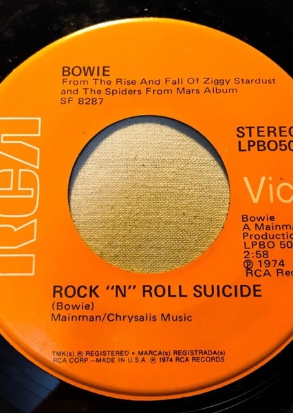 Rock 'n' Roll Suicide photo