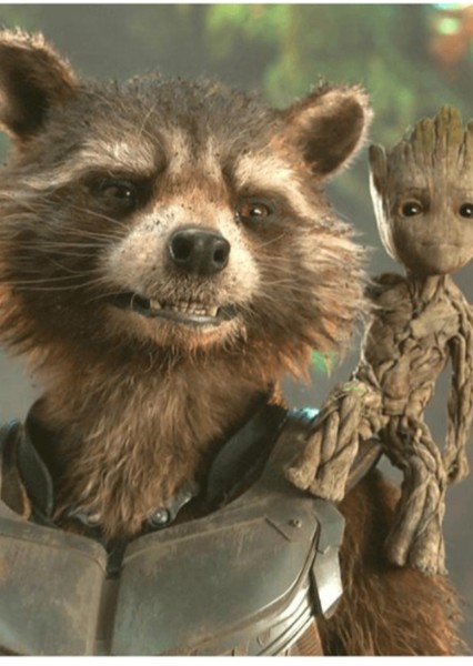 Rocket & Groot photo
