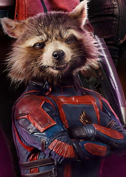 Rocket (Marvel Cinematic Universe) photo