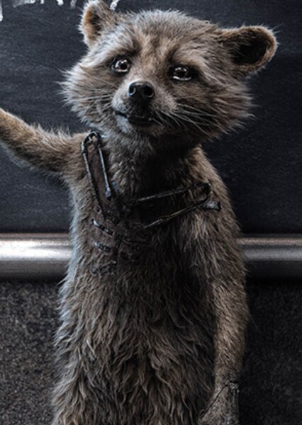 Rocket (Marvel Cinematic Universe) photo