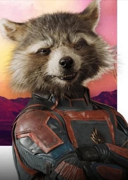 Rocket Raccoon