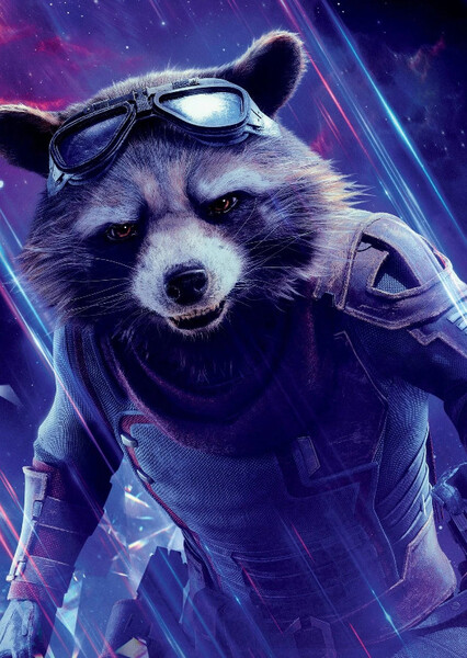 Rocket Raccoon photo