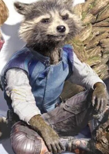 Rocket Raccoon (Marvel Cinematic Universe) photo