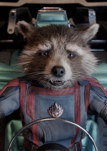 Rocket Raccoon (Marvel Cinematic Universe)