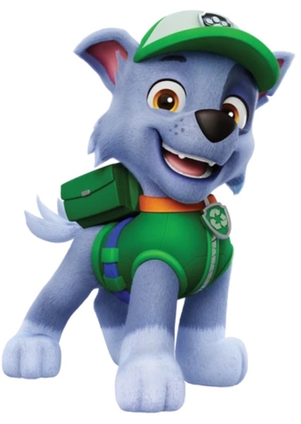 Rocky (PAW Patrol) photo