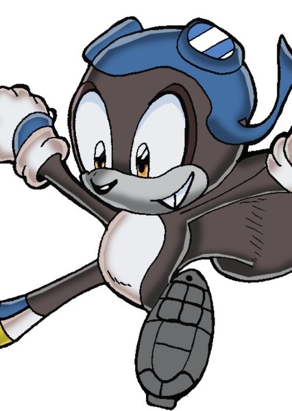 Rocky the Flying Squirrel