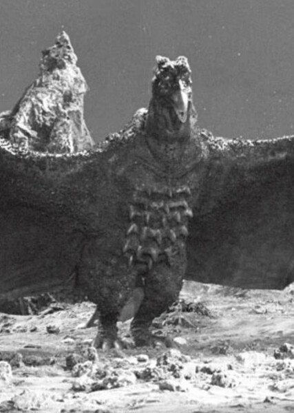 Rodan (Radon) photo