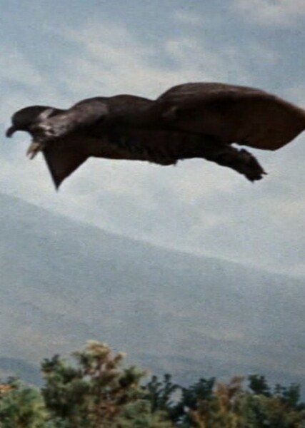 Rodan (Radon) photo