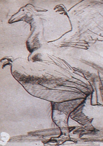 Rodan (Early Concept Art) photo