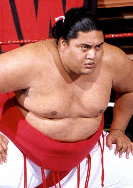 Rodney Anoaʻi photo