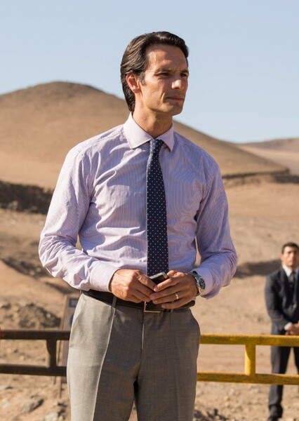 Rodrigo Santoro photo