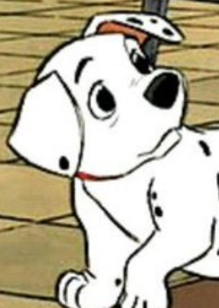Rolly (101 Dalmatians) photo