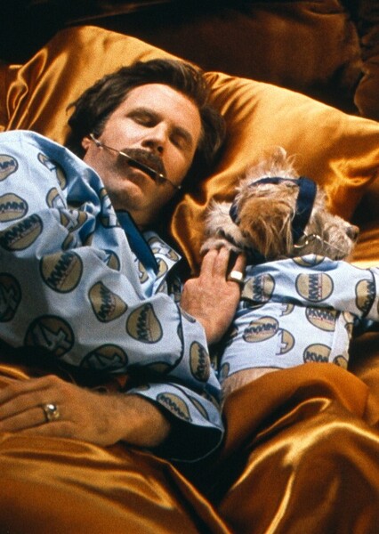 Ron Burgundy photo