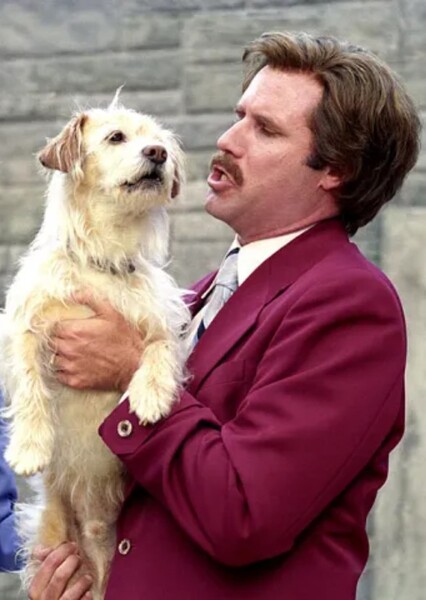 Ron Burgundy photo