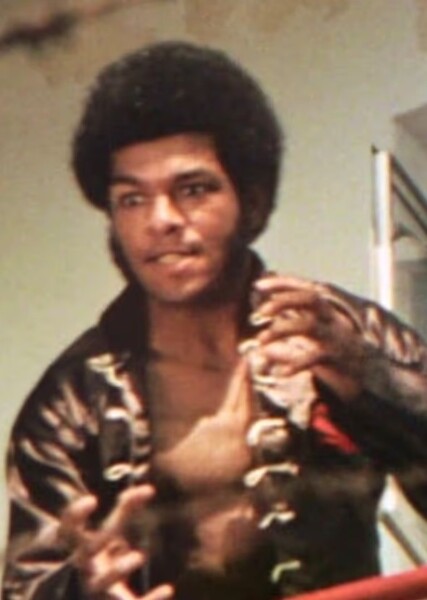 Ron Van Clief photo