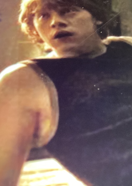 Ron Weasley photo