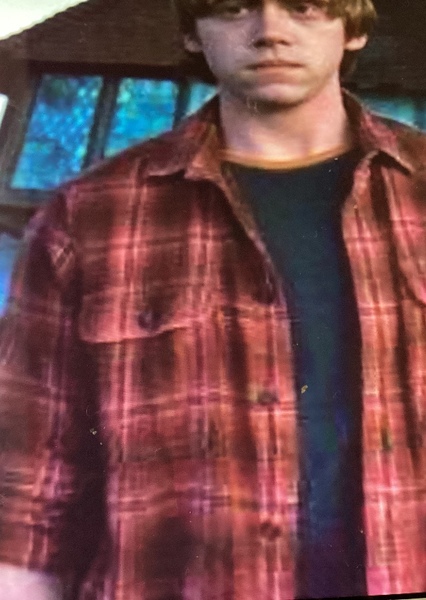 Ron Weasley photo