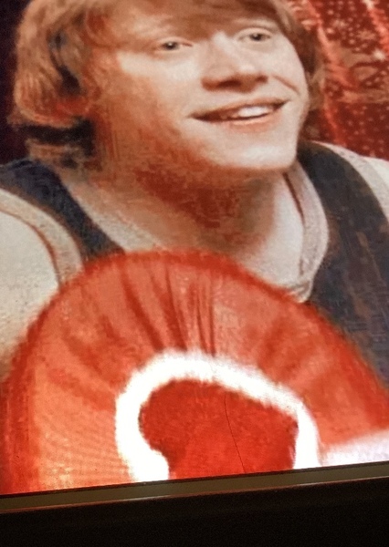 Ron Weasley photo