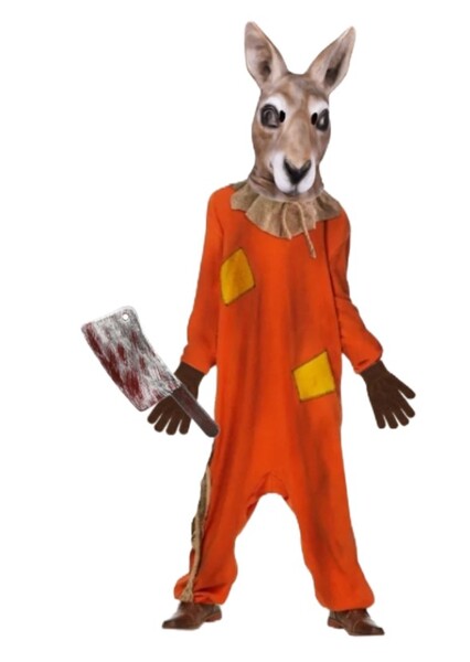Roo (Winnie the Pooh) photo