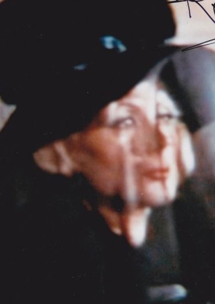 Rose Alba