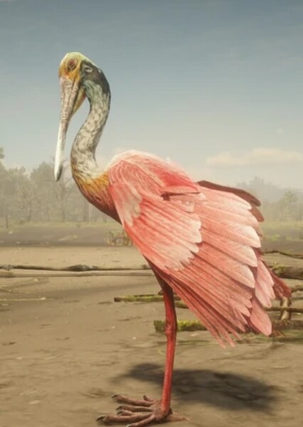 Roseate Spoonbill