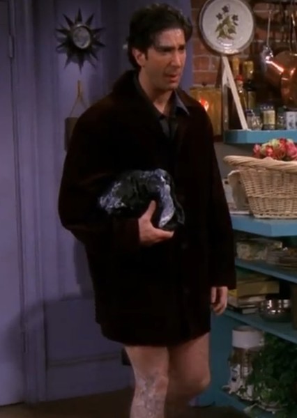 Ross Geller photo