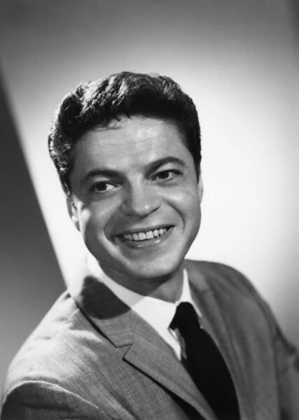 Ross Martin photo