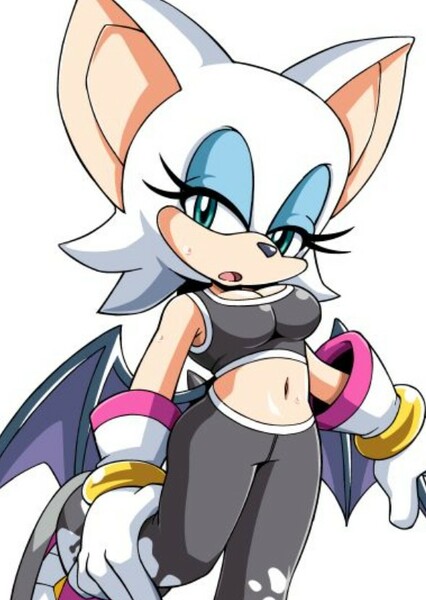 Rouge the Bat photo