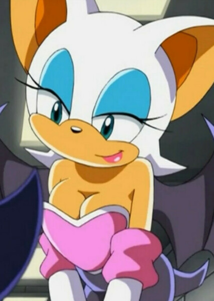 Rouge the Bat photo